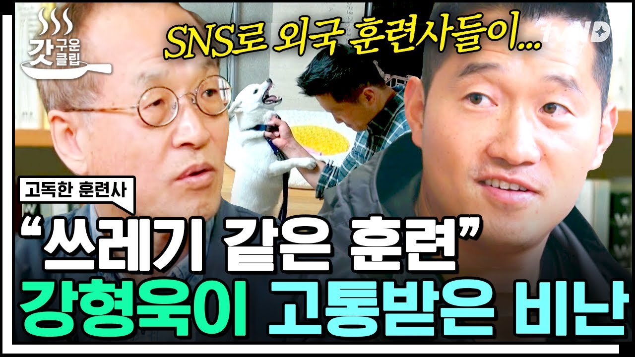 [#갓구운클립] 우리는 몰랐던 강형욱의 고민들😥 과연 도시에 사는 개들에게 최선은 무엇일까?🐶 | #고독한훈련사