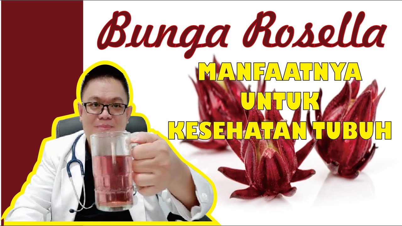 BUNGA ROSELLA............ MANFAATNYA UNTUK KESEHATAN TUBUH