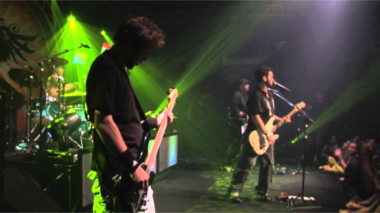 Primos da Cida DVD O Reggae
