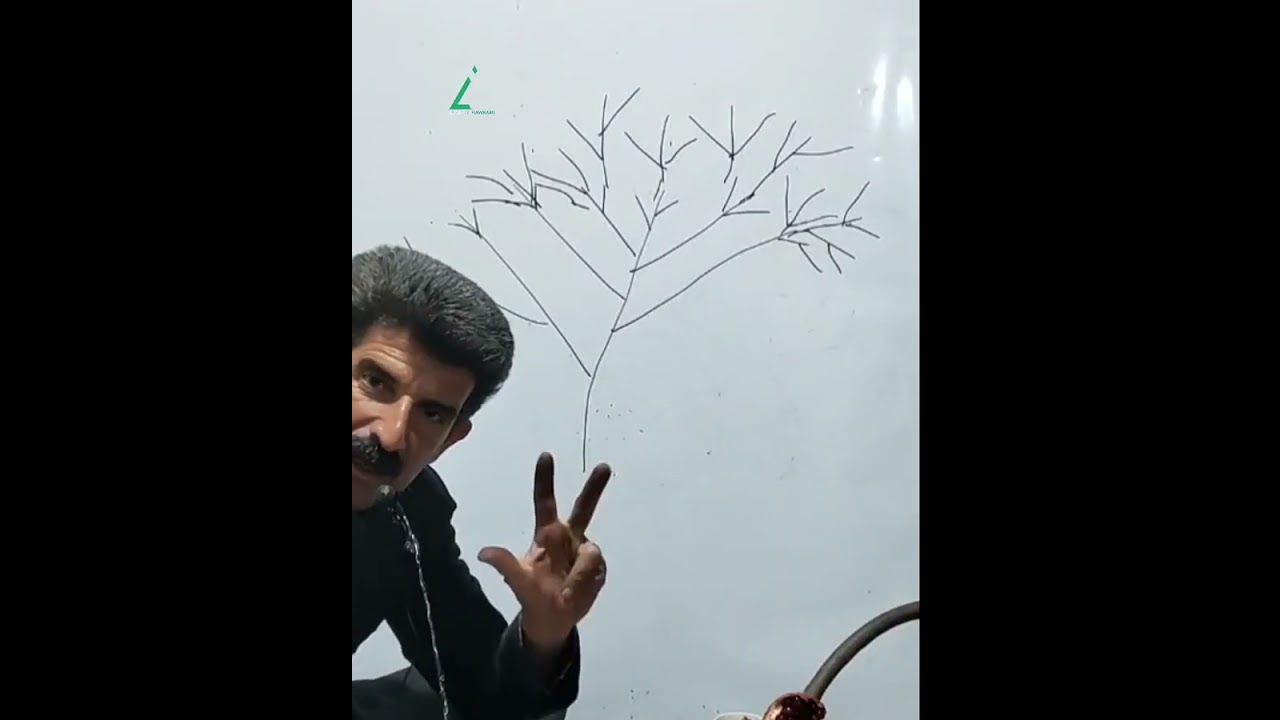 بڕینی هەنجیر و چاندنی فستق و زەیتون
