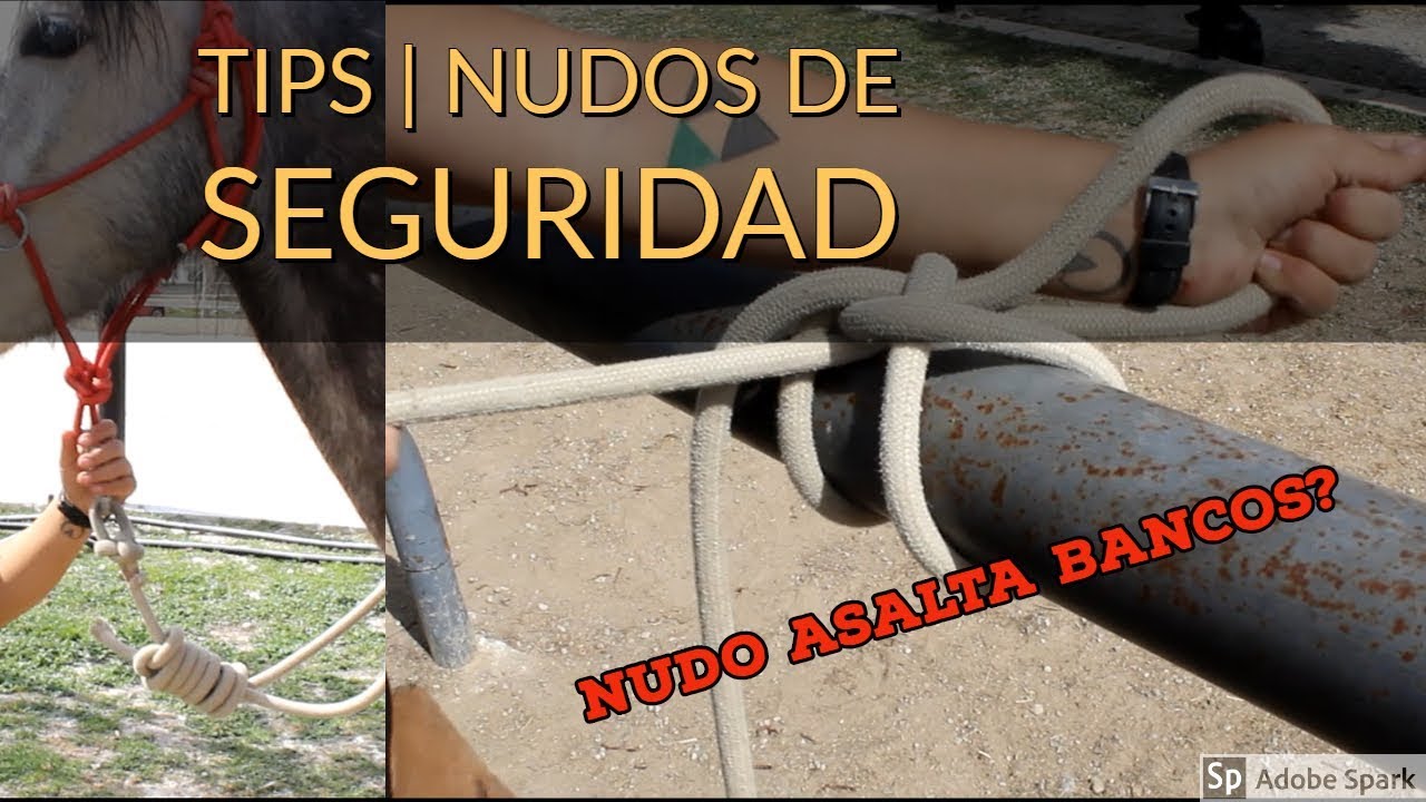 TIPS | Nudos de SEGURIDAD ecuestres
