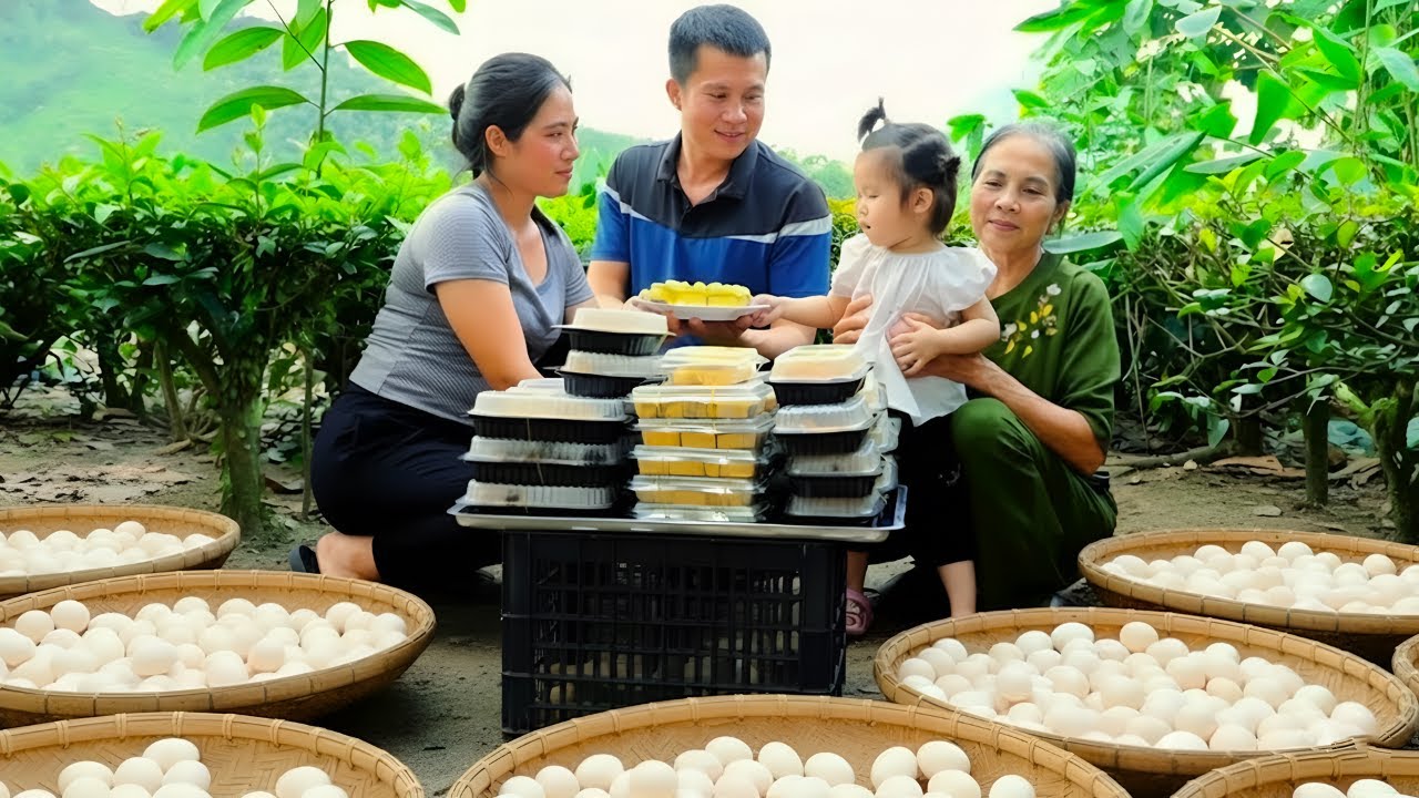 Chickens lay many eggs, cooking delicious egg rolls - Kitchen makeover and sponge gourd harvest