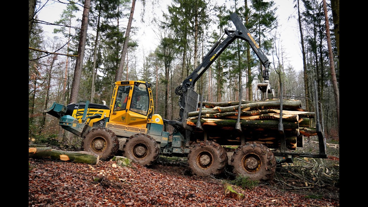 🌲4K| HSM 208F 18T • BIG FORWARDER • Powerful Crane • Durchforstung • Thinning • Big trees 🌲