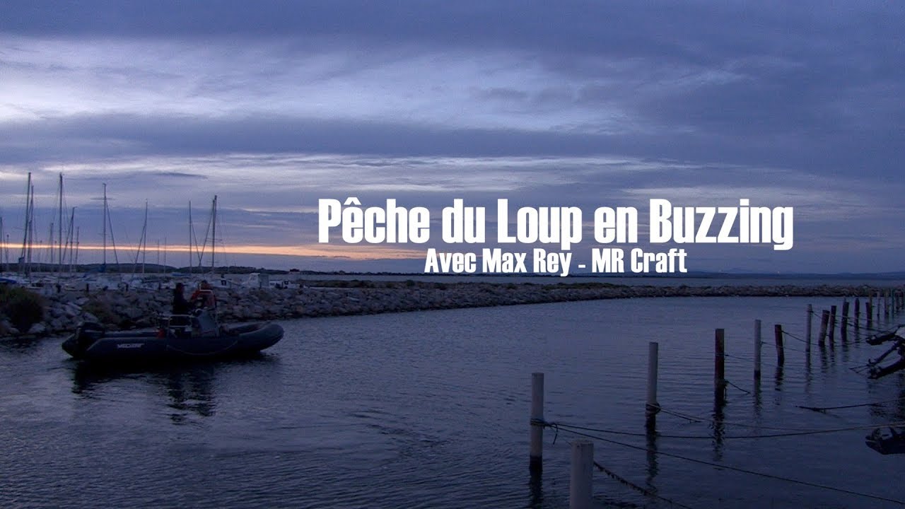 Tout Savoir Sur La P&ecirc;che du Loup en Buzzing - Bande Annonce