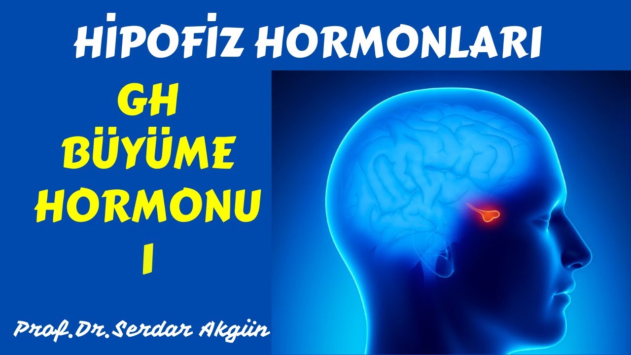 Hipofiz Hormonları, Growth Hormon, I,Tıp Dersleri, Serdar Akgün, Serdar Akgün Videoları