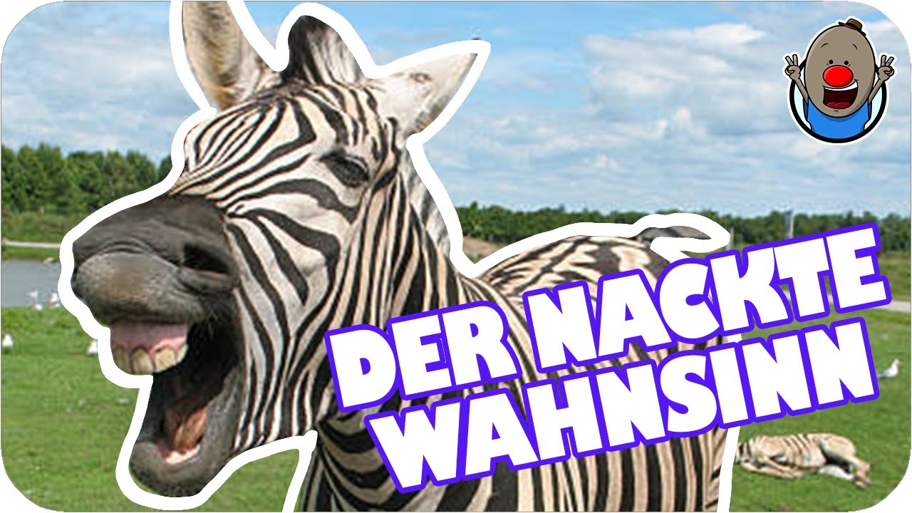 Wenn Tiere sprechen könnten 5 | der blanke Wahnsinn