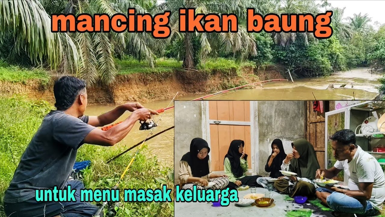 MANCING IKAN BAUNG || UNTUK MENU MASAK KELUARGA
