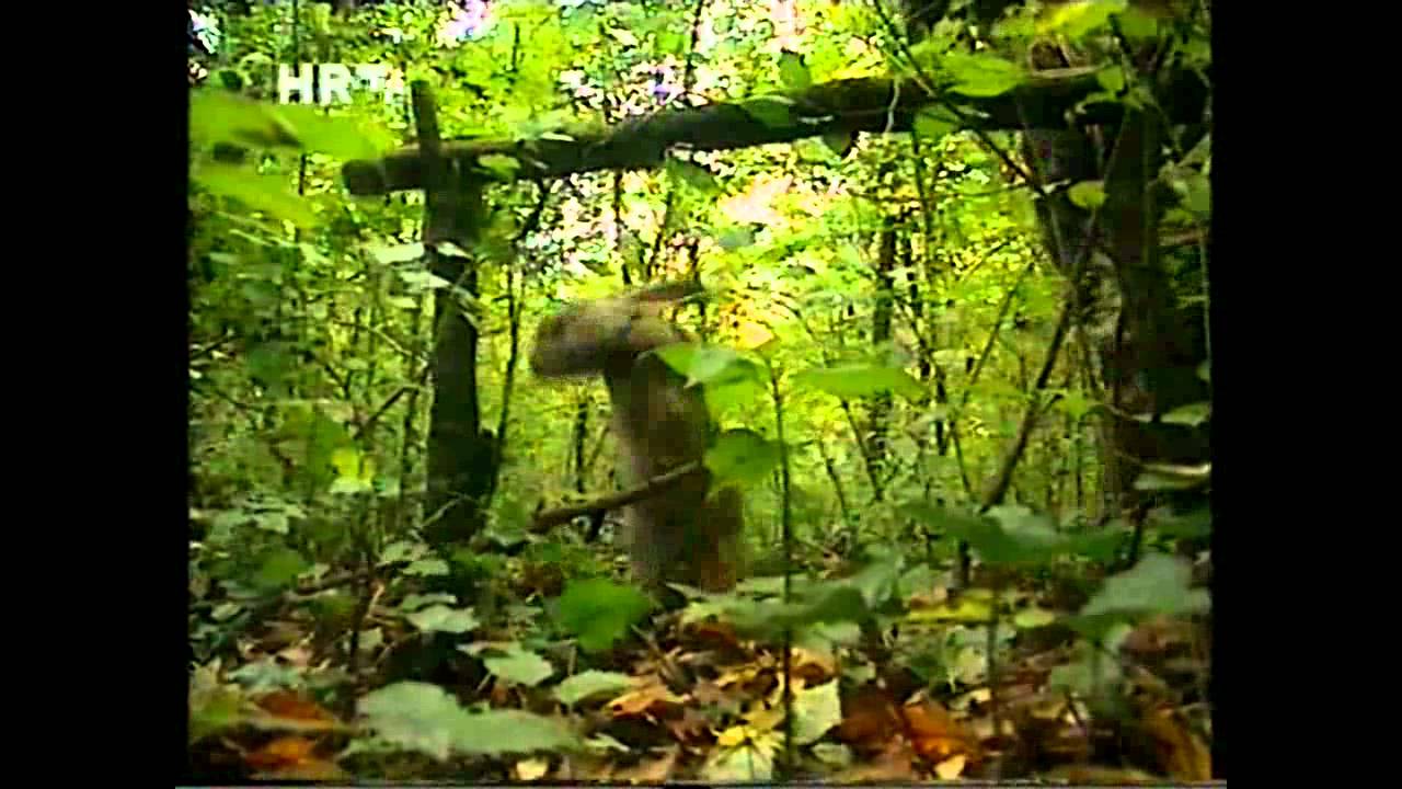 HRVATSKA VOJSKA-SPECIJALNE POSTROJBE-U neprijateljskoj dubini - 2.dio