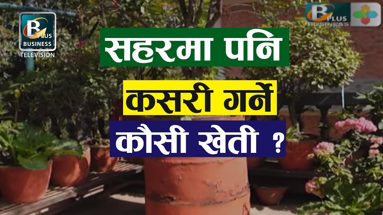 सहरबजारको कौसीमा कसरी गर्ने कृषि उधम  KAUSI KHETI with  Umesh Kumar Lama | BPTV