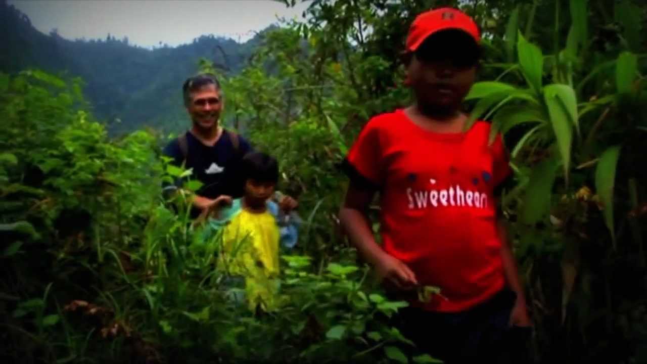 Palawan Energy Project 2012