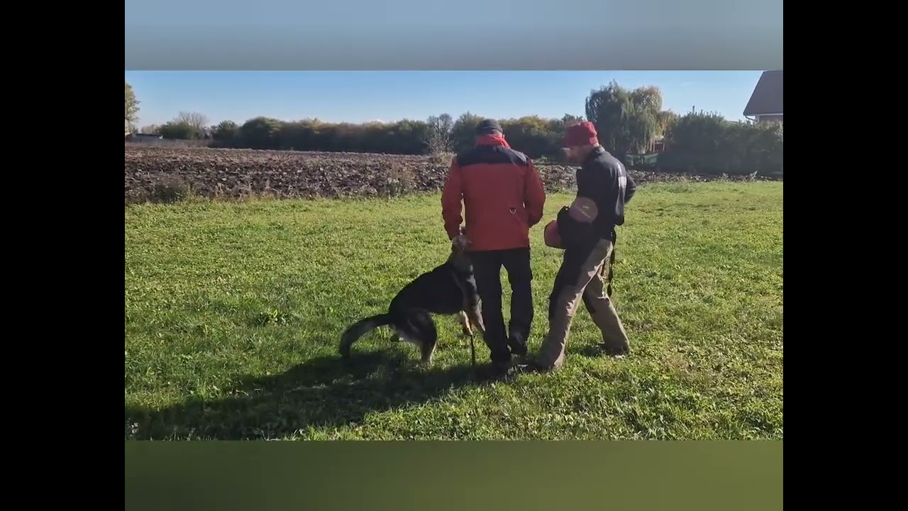 Yoda - protection work