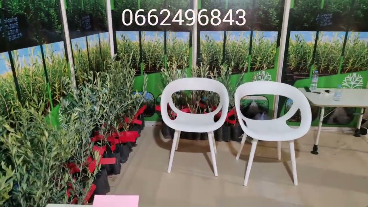 #المعرض الوطنى للفلاحة بالعطاوية