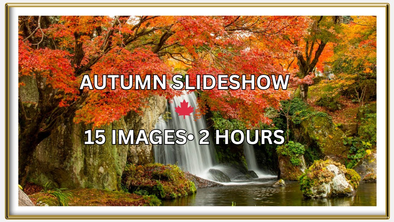 2 Hours of Peaceful Autumn Forest 🍁 Relaxing Fall Scenery | 15 Pictures Slideshow