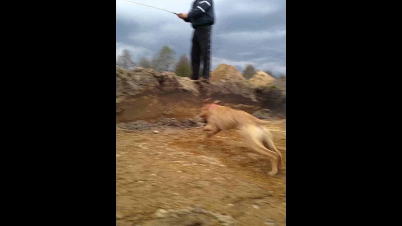 Lady Luck training