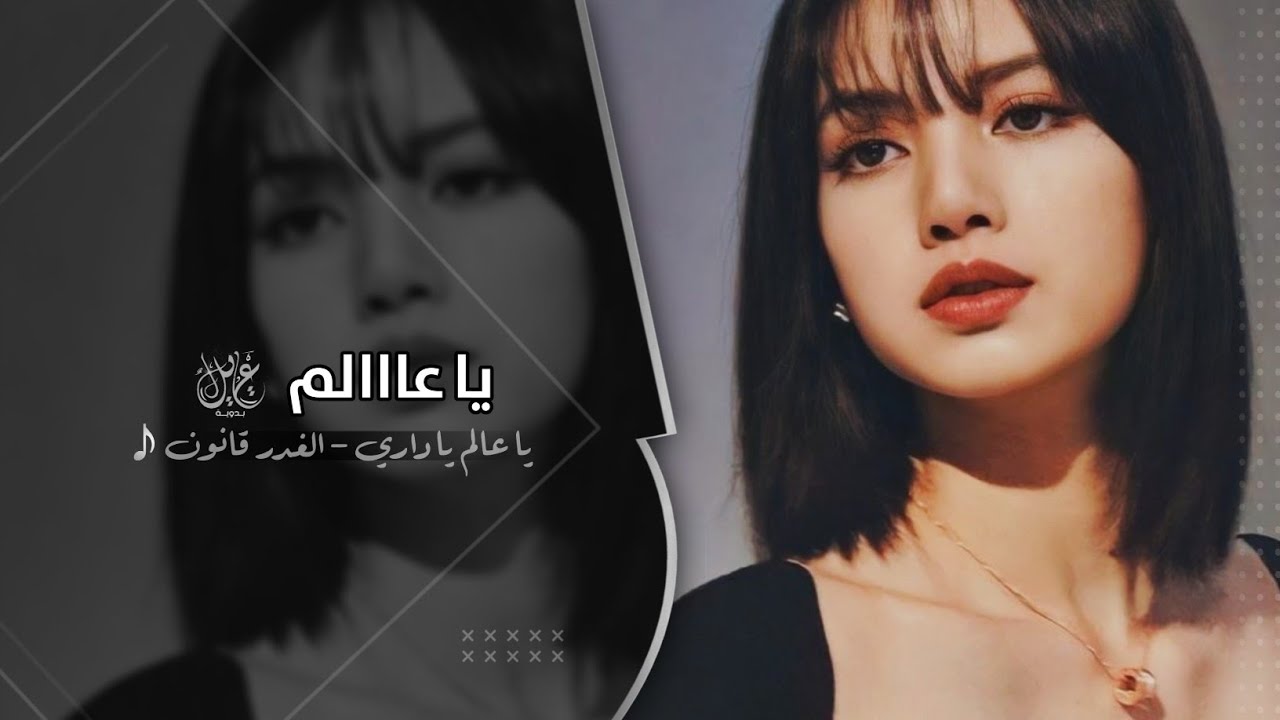 يا عالم يا داري #اغاني طرب تيك توك 2024 | مطلوب اكثر شيئ.