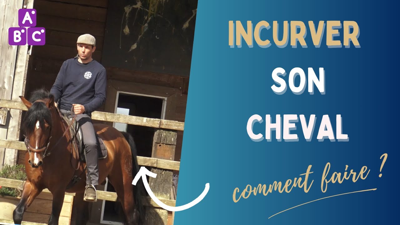 ⭐ Incurver son cheval pour mieux l'assouplir ⭐