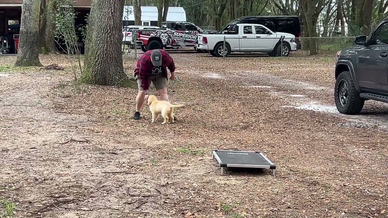 Effie - Training 