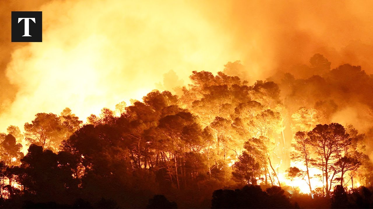 LIVE: France Wildfires Rage as Thousands Flee Destruction