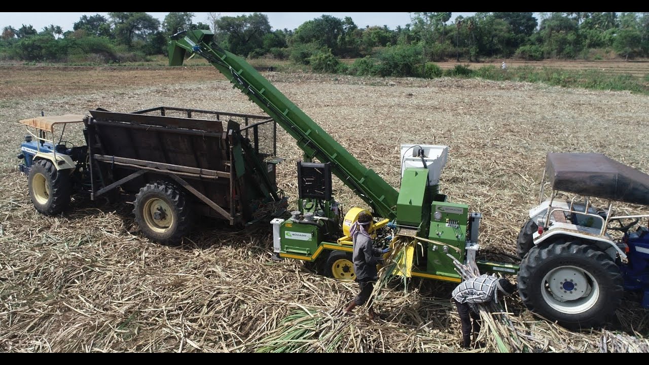 ASCC 1044 Gomadhi Tractor PTO operated Sugarcane Detopping, Detrashing & Chopping machine