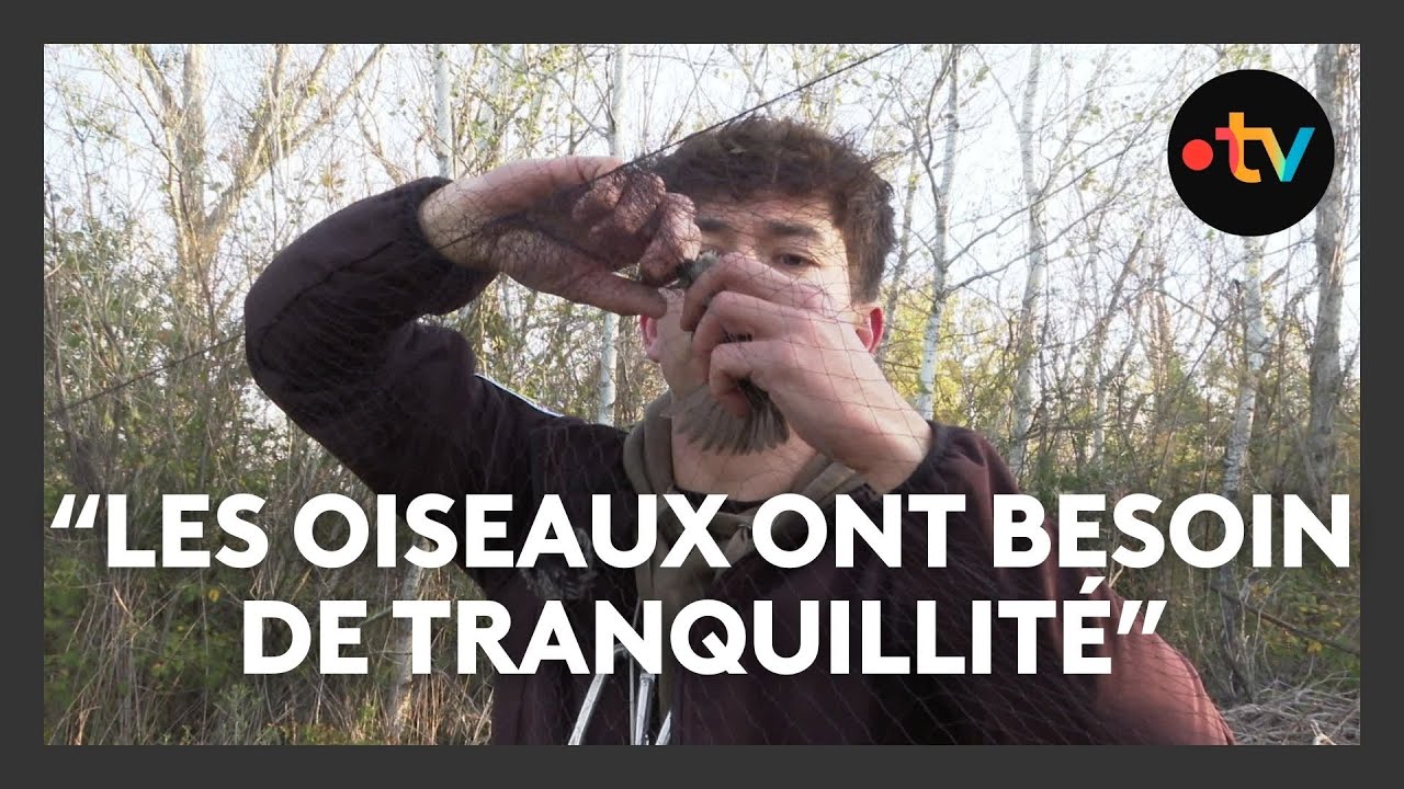 Dans les coulisses d’une réserve : le sanctuaire des oiseaux migrateurs
