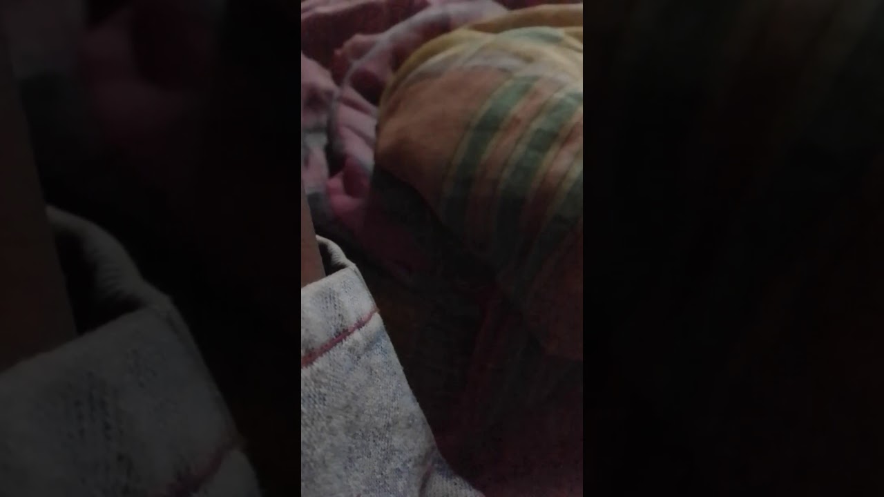 Hvln vjkmnbgijbvjkkkknbnpLiamghkbbhjl