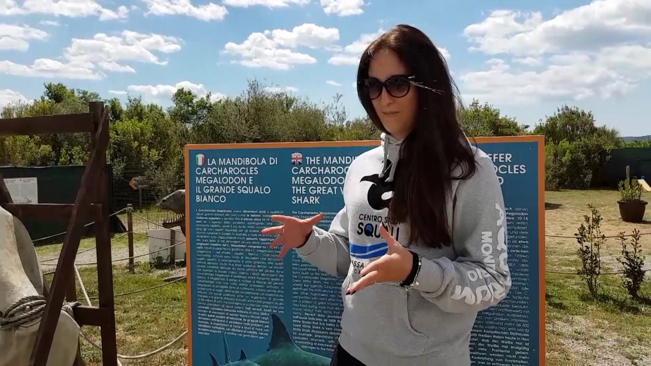 Inaugurazione Centro Studi Squali - Francesca Reinero