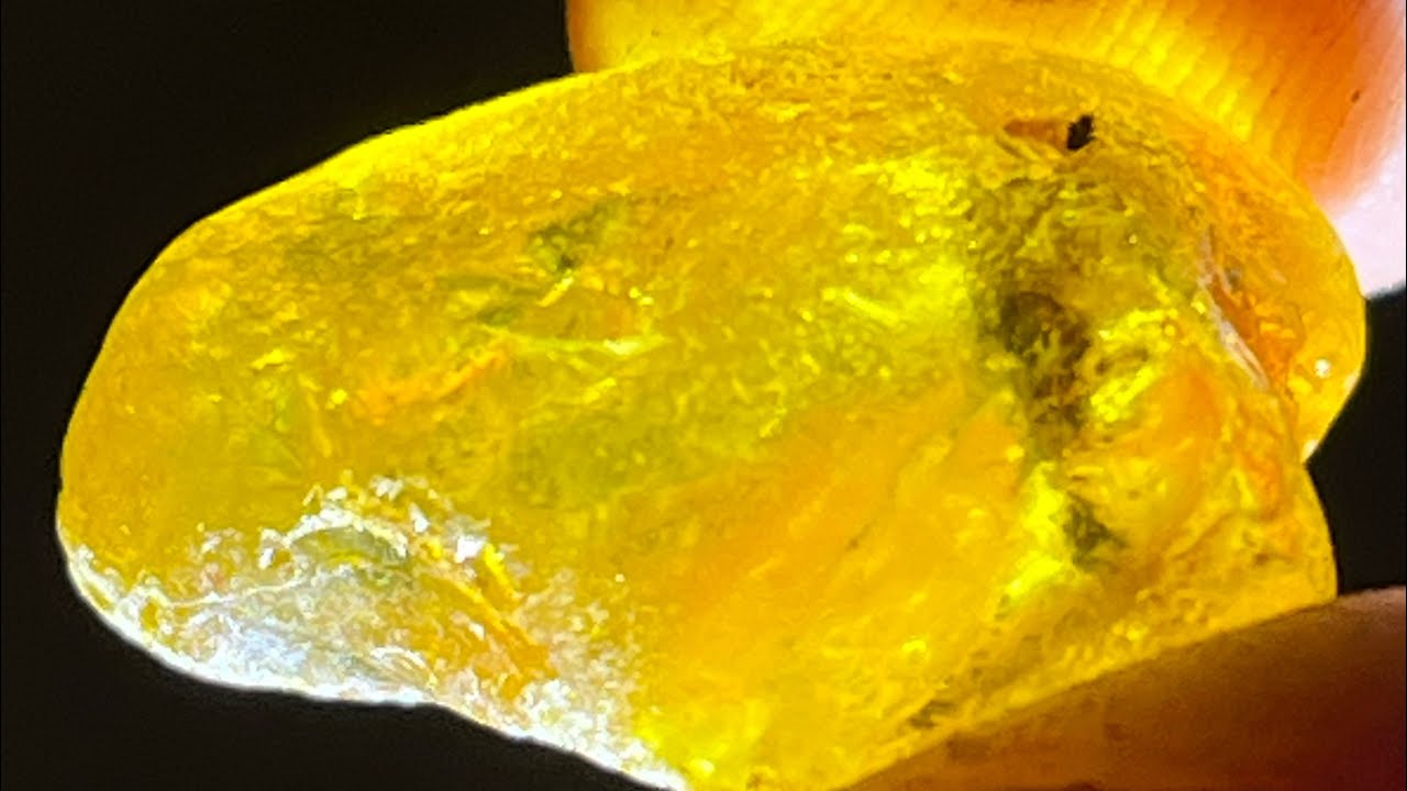 Amber hunting at Dunwich beach with Ultraviolet light.