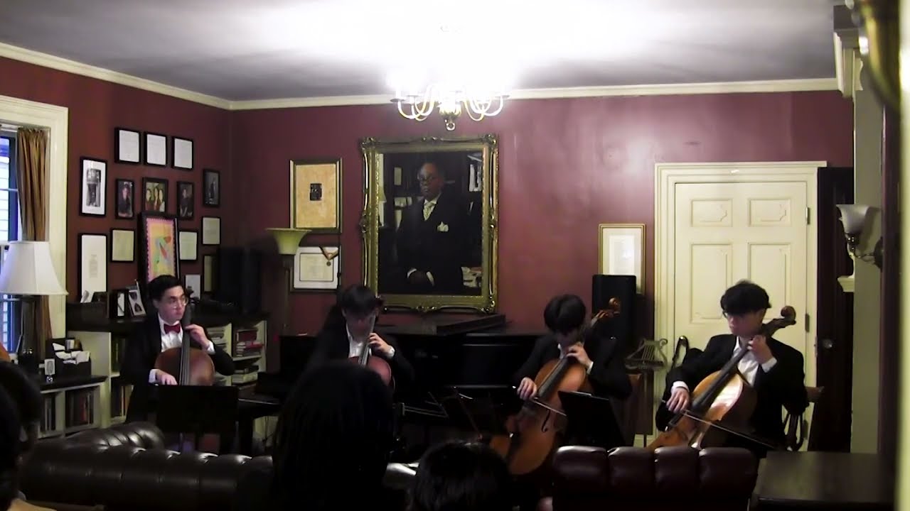 Serenade for Strings, Op. 48 by Pyotr I. Tchaikovsky: I. Andante non troppo - allegro moderato