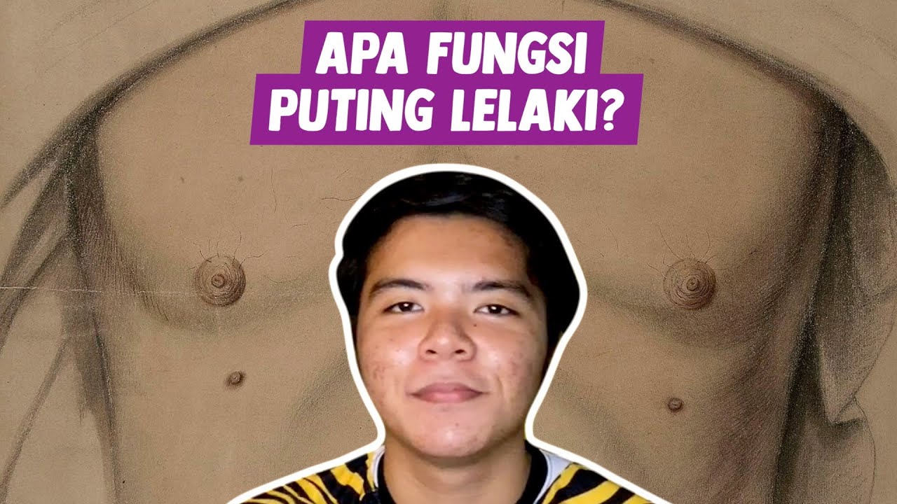 Apa Fungsi Puting Lelaki?