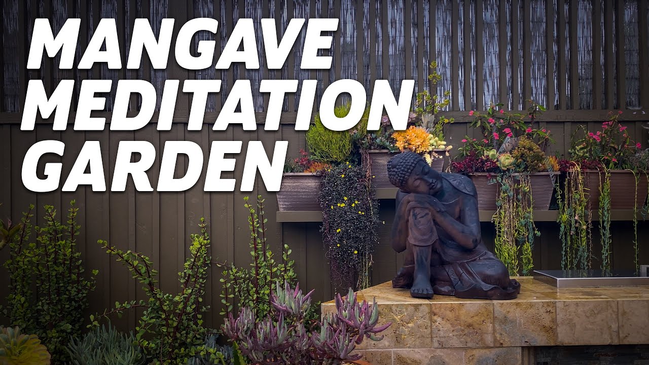 Mangave Meditation Garden in University City