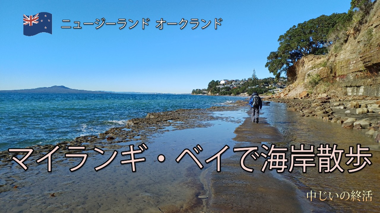 中じいの休日　今日は妻と車でおでかけ、マイランギベイで海岸沿いの遊歩道を散歩しました　Visit Mairangi Bay to take a walk beside of the sea