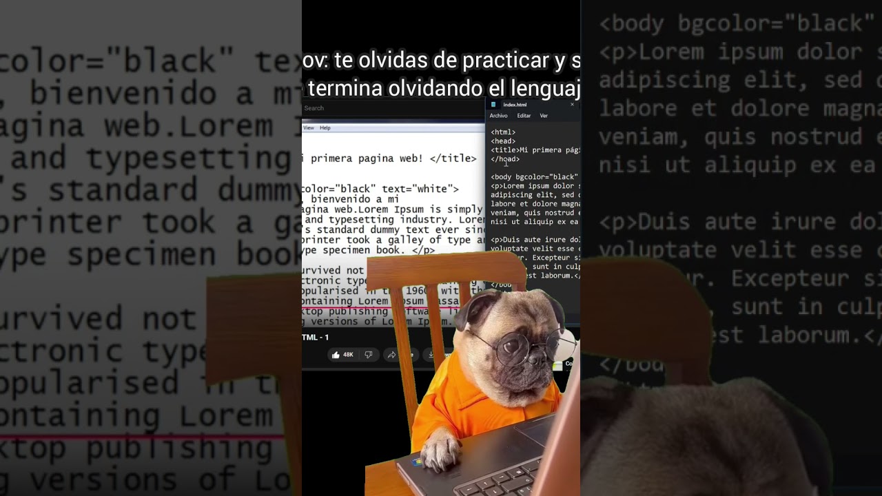 #estudiantedeprogramacion