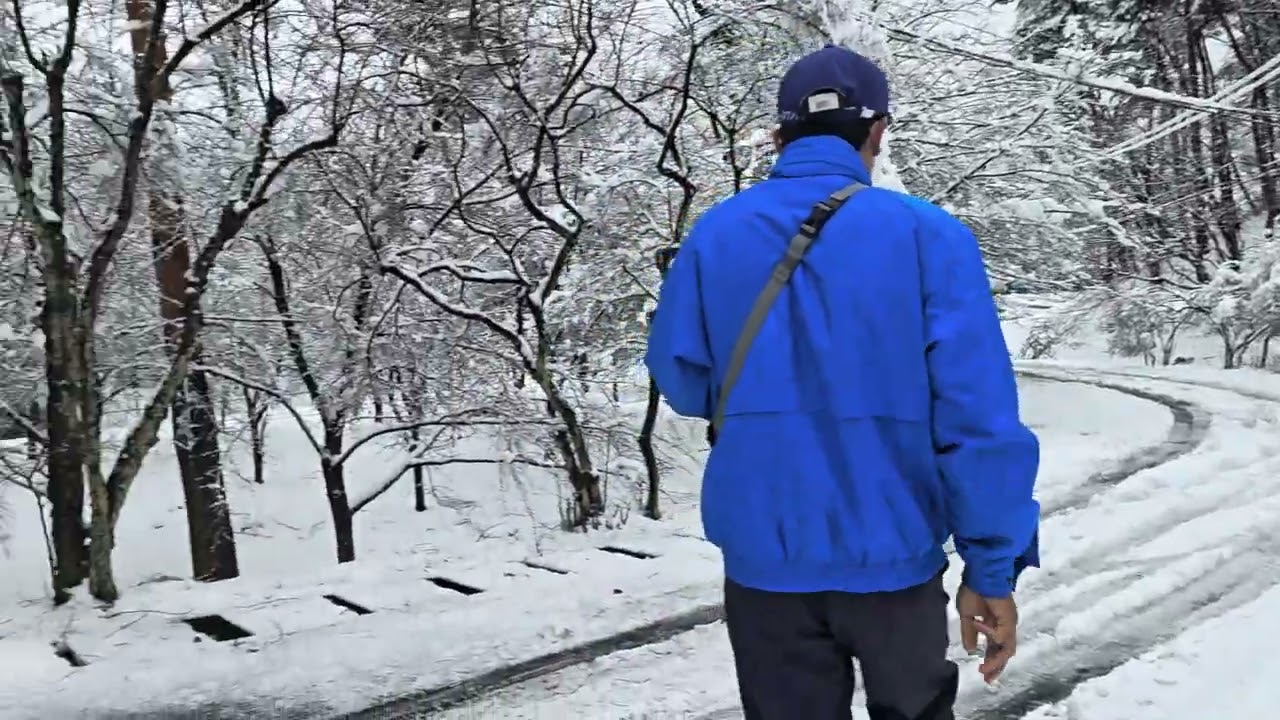 Begini Rasanya Berangkat Kerja Ketika Musim Salju di Jepang 🇯🇵