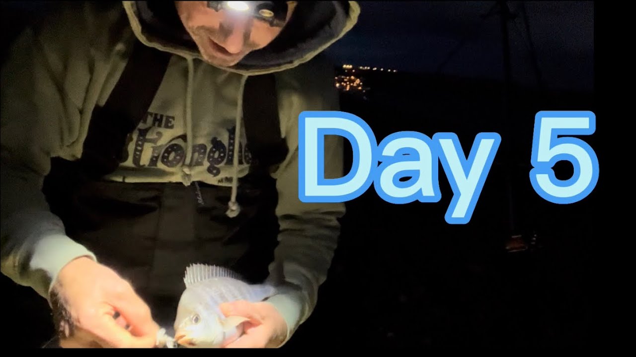 Chesil beach day & night fishing, day 5 of the carp rod cod & conger hunt