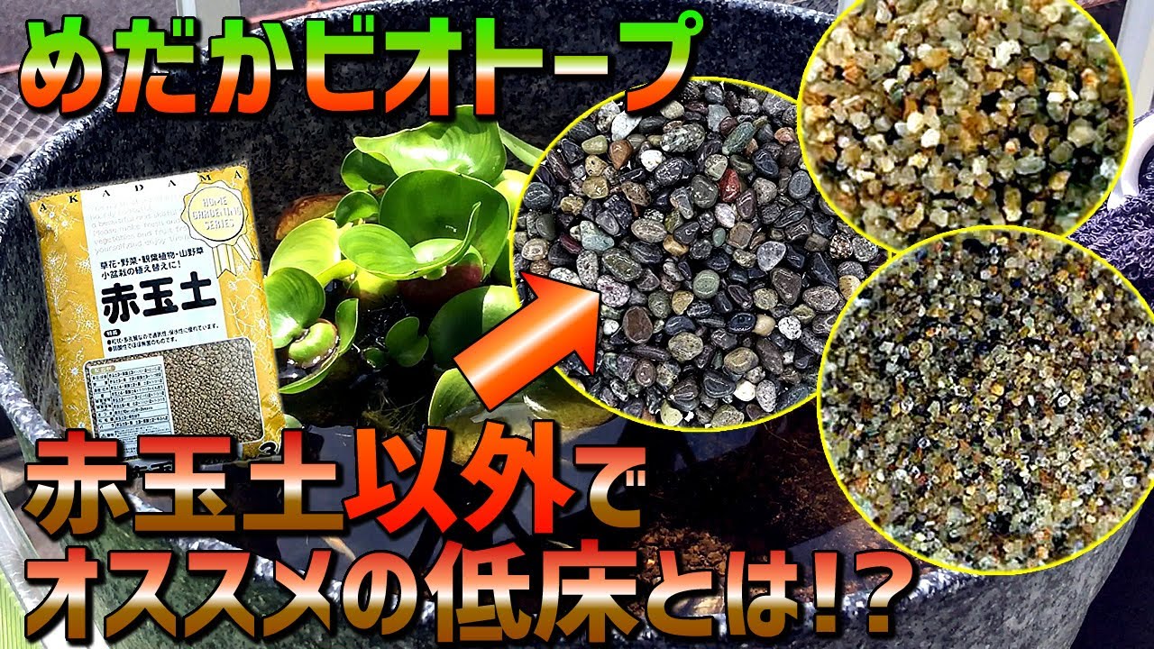 赤玉土以外でメダカのビオトープに使用できるオススメの低床について