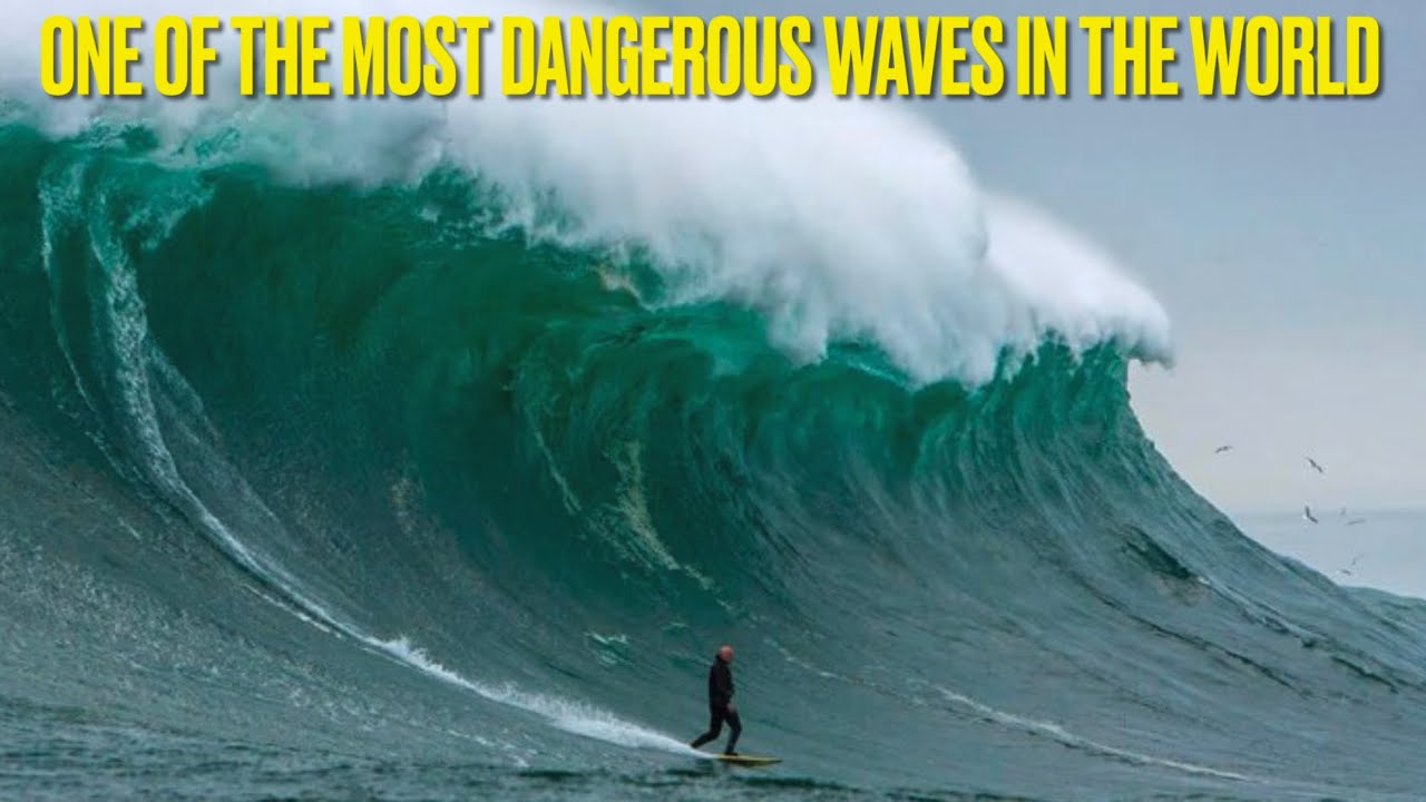 Ghost Tree: One of the Most DANGEROUS Waves in the World