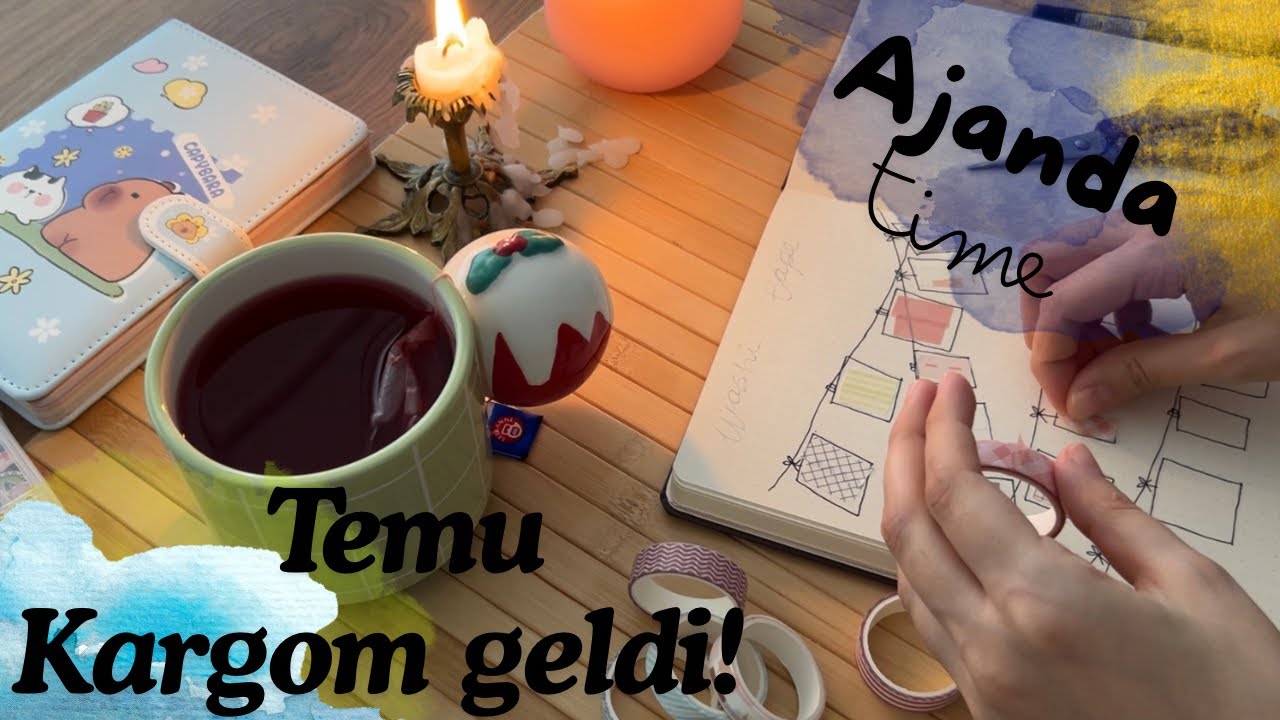 TEMUDAN ALDIĞIM STİCKERLAR| AJANDA GÜNLÜKLERİ