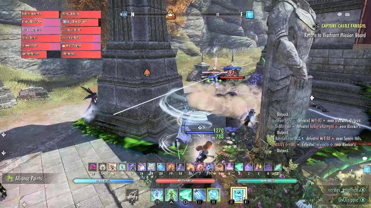 ESO  More warden      group play