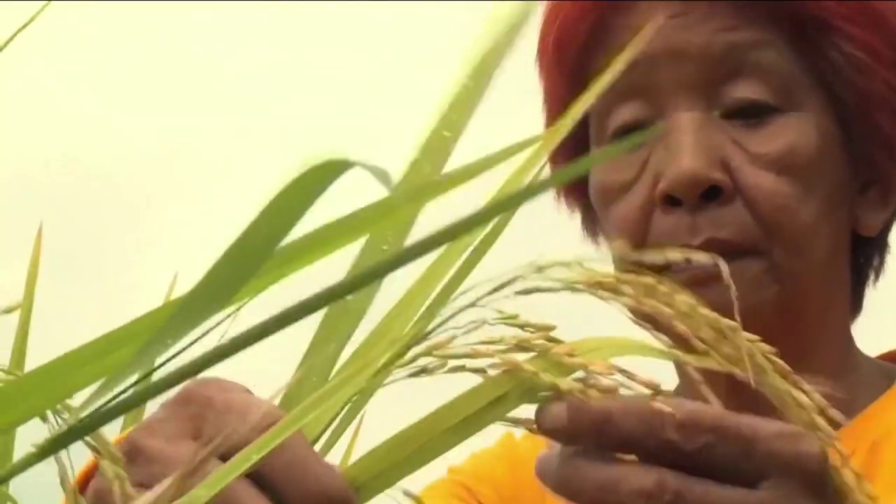 Mobile Application for Agriculture