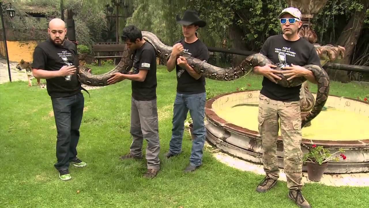 Rancho Los Pirules - parte 2