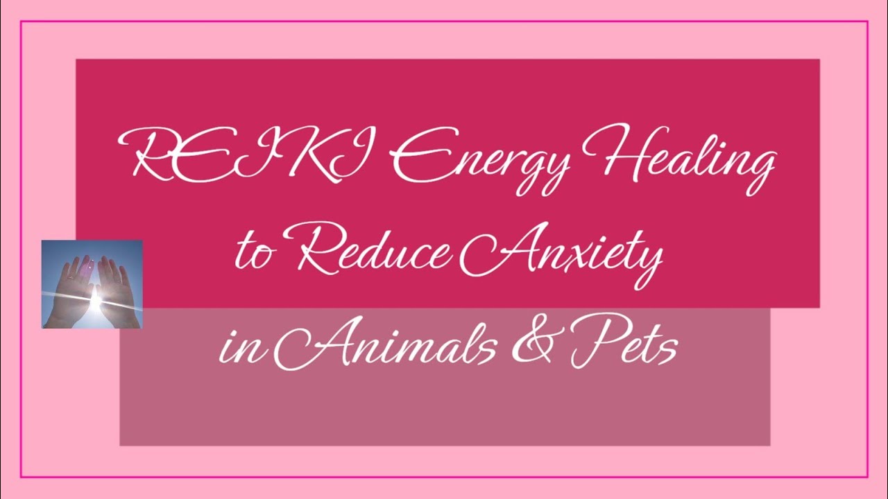 Reiki to Reduce Anxiety in Animals & Pets | Timeless Energy Healing