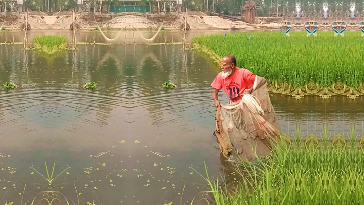 Amazing Fishing Video - Traditional Fishing Method - Best Village Fishing Video