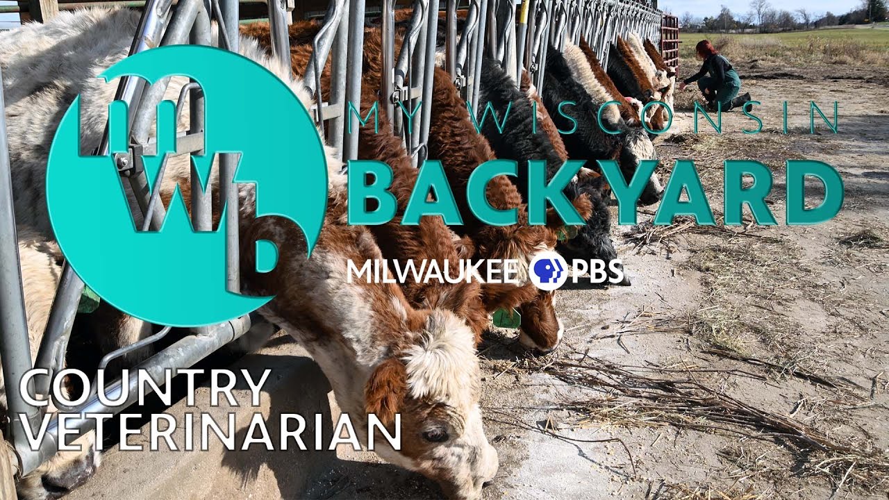 My Wisconsin Backyard | Web Series | Country Vet