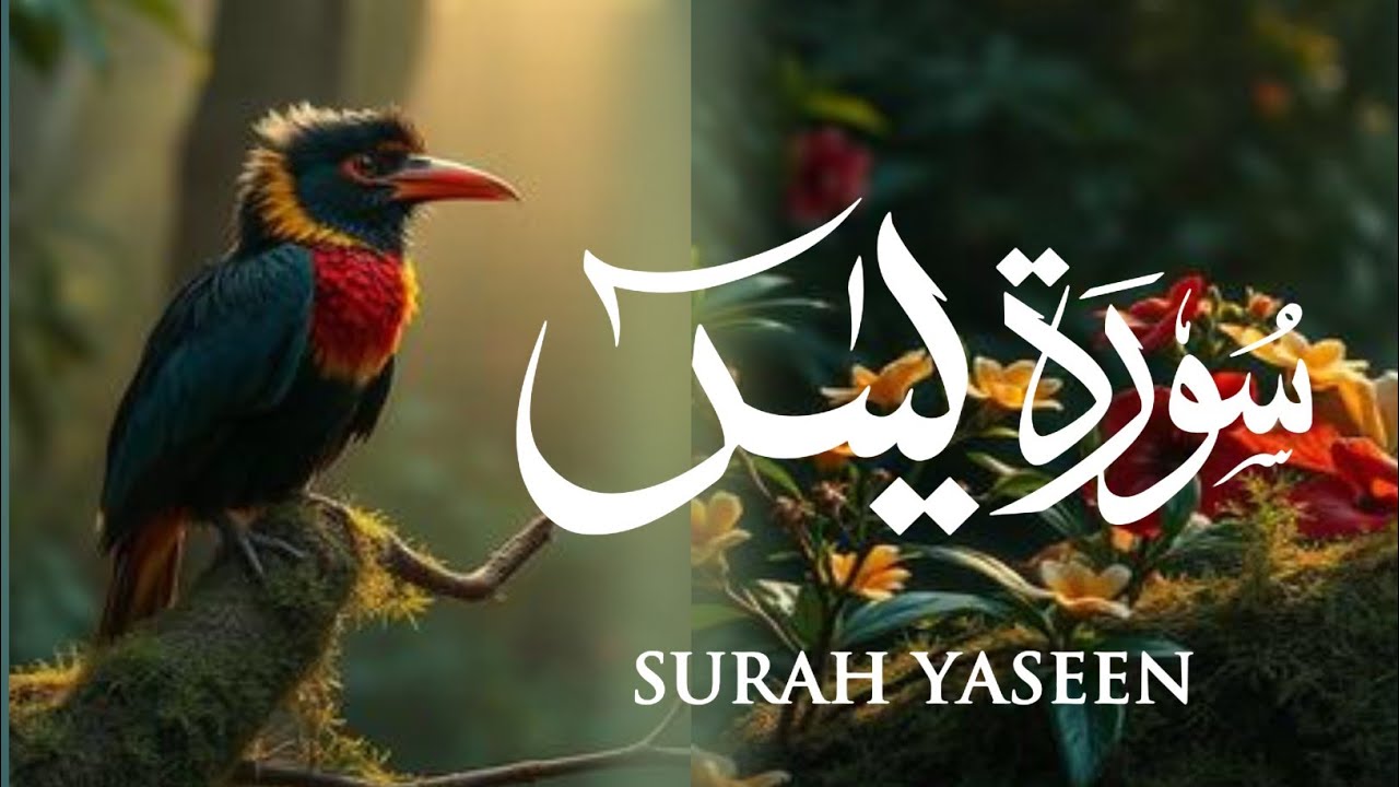 Surah Yaseen Full Recitation | Beautiful Heart-Soothing Voice | Quran Recitation