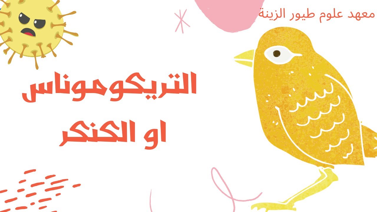 تعرف على المرض التريكوموناس او الكنكر