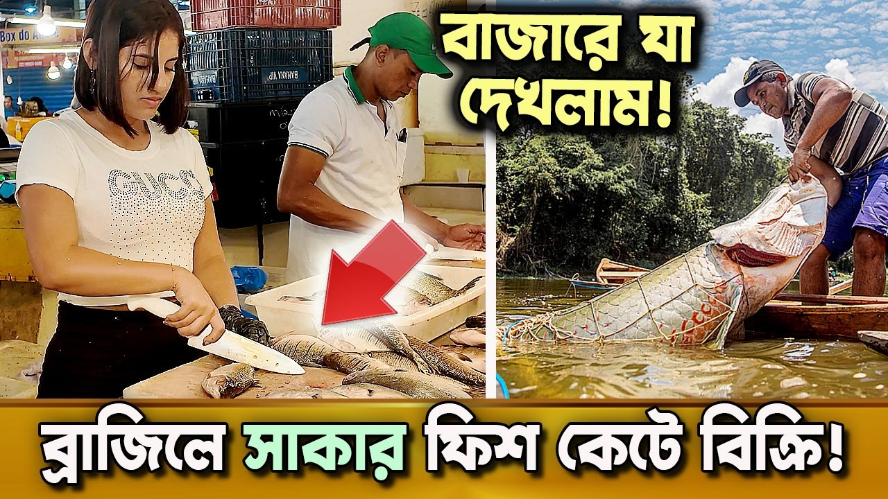 ব্রাজিলের বিখ্যাত মাছ বাজার! জীবনে না দেখা মাছের মেলা! দুনিয়ার গল্প | Karamot Ullah Biplob