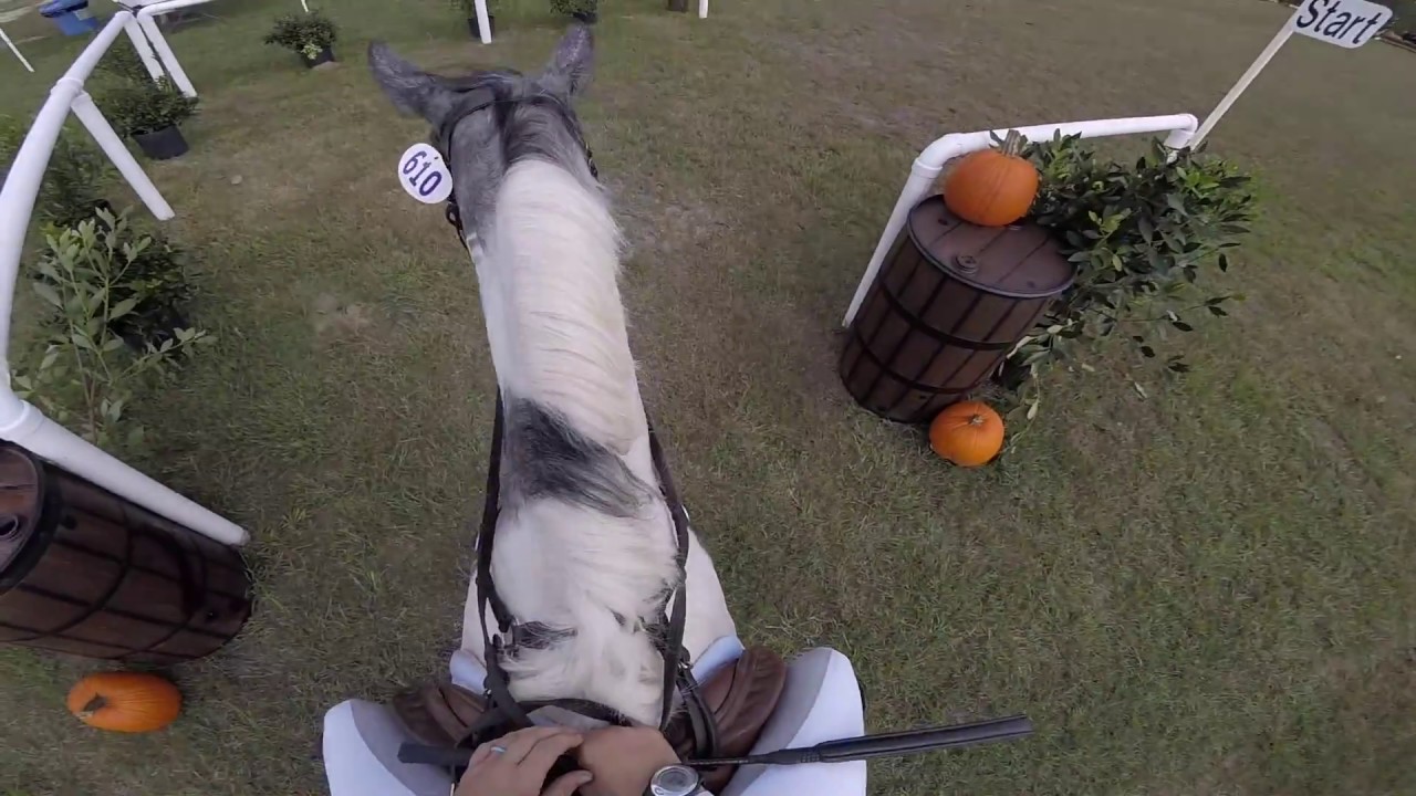 Helmet Cam: Dorado (Open Beginner Novice | 2018 Stable View Oktoberfest CIC & HT)