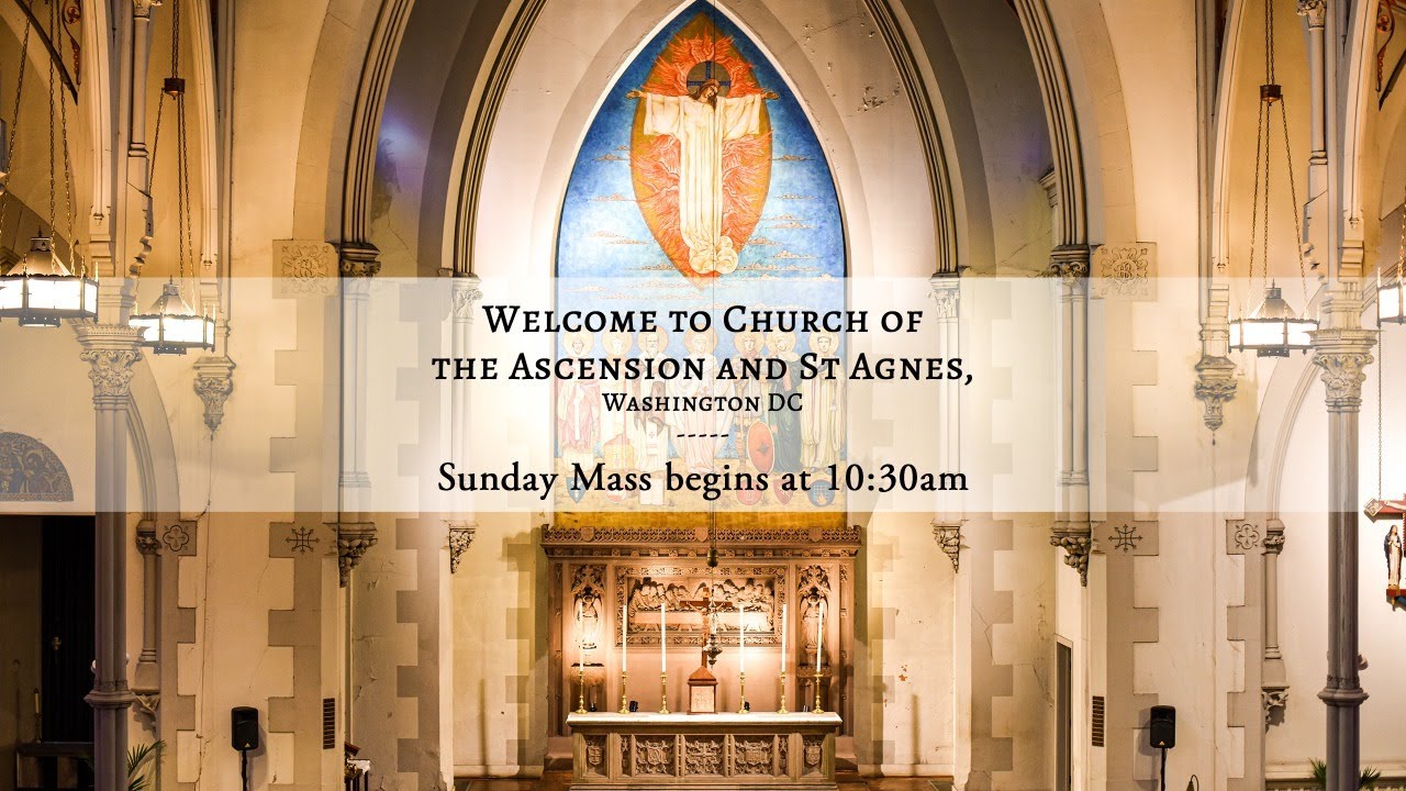 Sunday Mass :Seventh Sunday After Pentecost