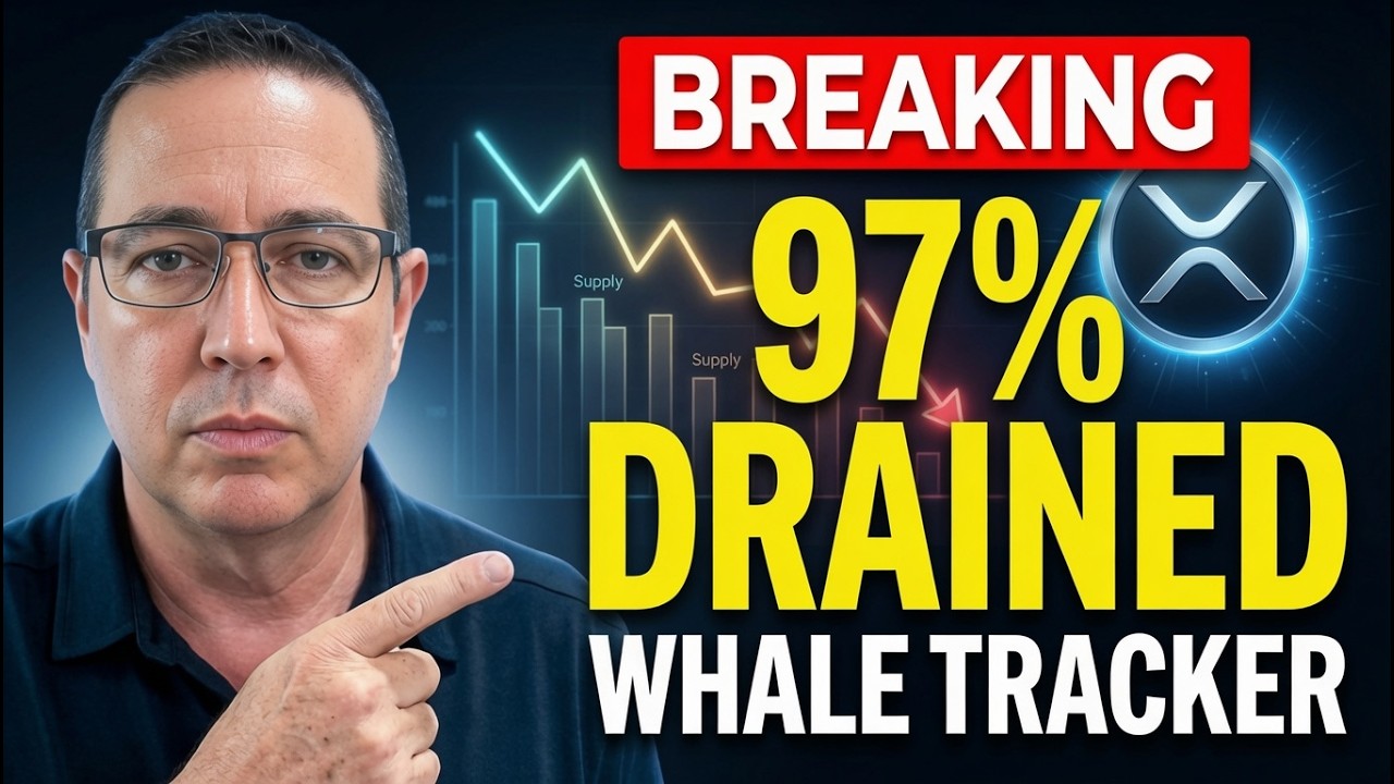 &laquo;Срочная новость: Крупные игроки только что выкачали 97% XRP &mdash; оповещение от Whale Tracker&raquo;