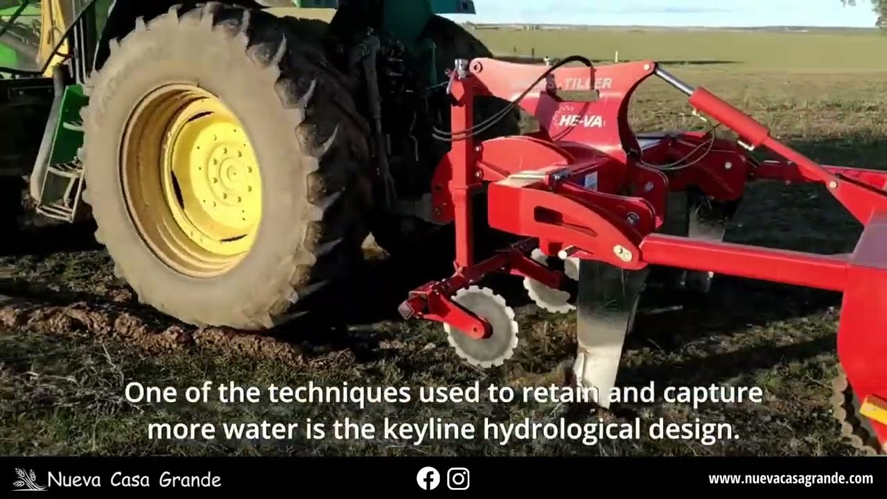 GRASS-TILLER de HE-VA - Linea clave